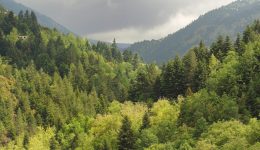 ekpedeftiki-ke-perivallontiki-drasi-stin
