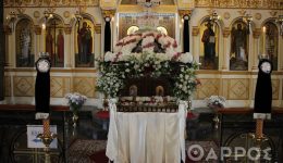 emporikos-sillogos-messinis-etima-thesmikou