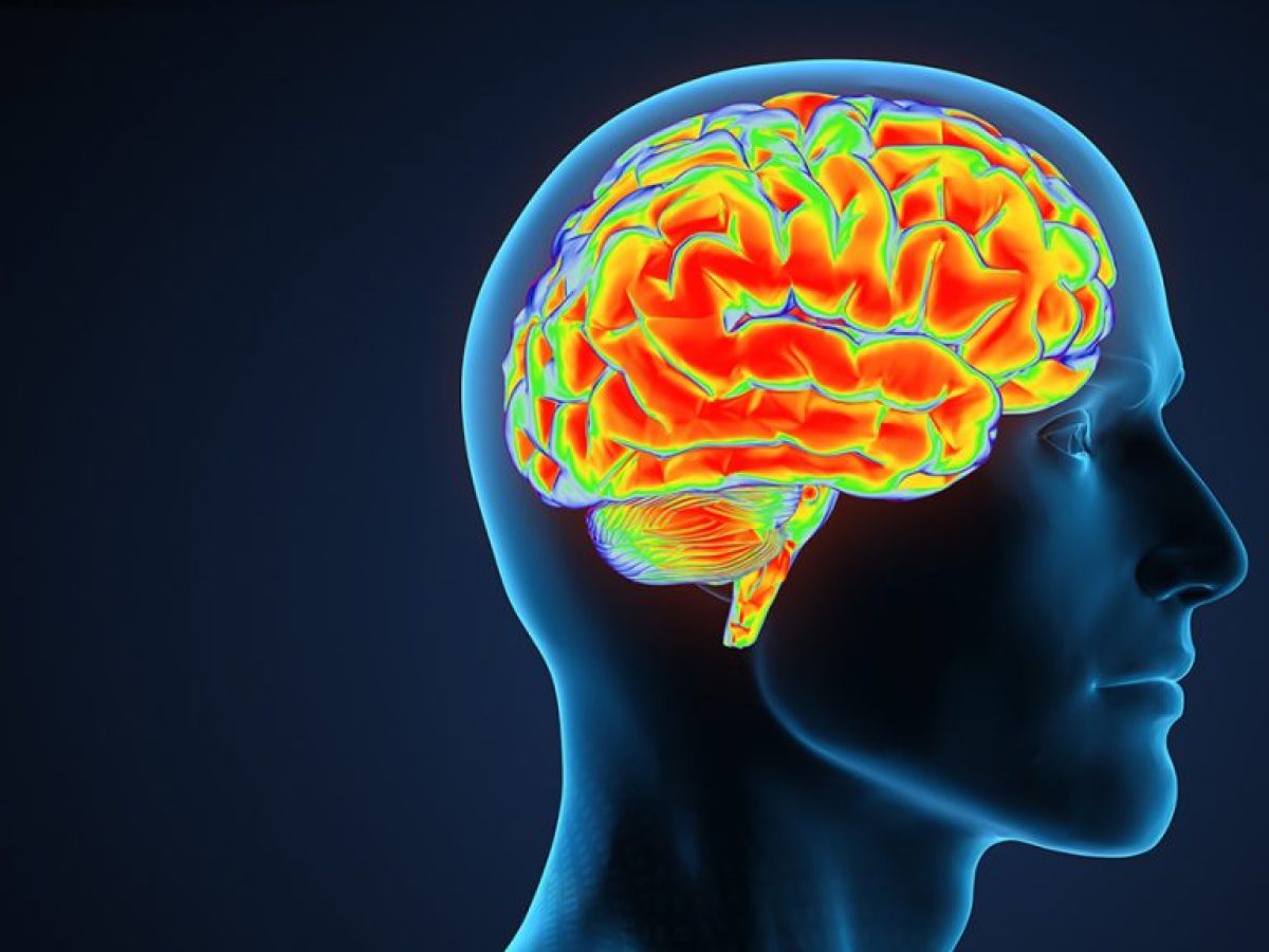 Έναρξη του προγράμματος «ΝΟΥΣ ΥΓΙΗΣ – Δημιουργία και Πιλοτική λειτουργία Δικτύου Γυμναστηρίων Μνήμης» – Συμβουλευτικός Σταθμός Άνοιας Δήμου Θηβαίων 