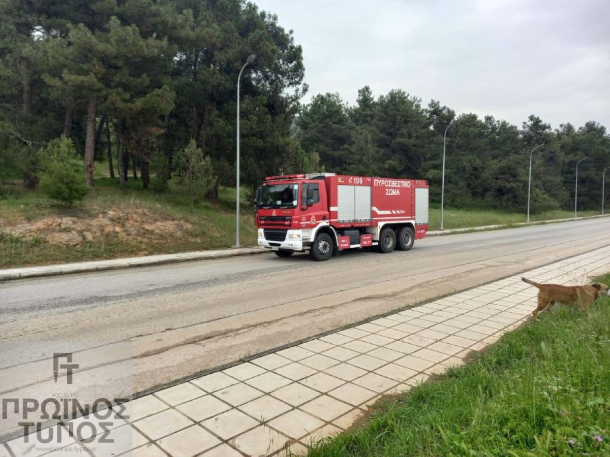 Ενίσχυση 607.000 ευρώ για την Πυροπροστασία στους Δήμους της Π.Ε. Δράμας