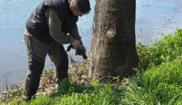 entopistike-elkos-platanou-ston-loudia