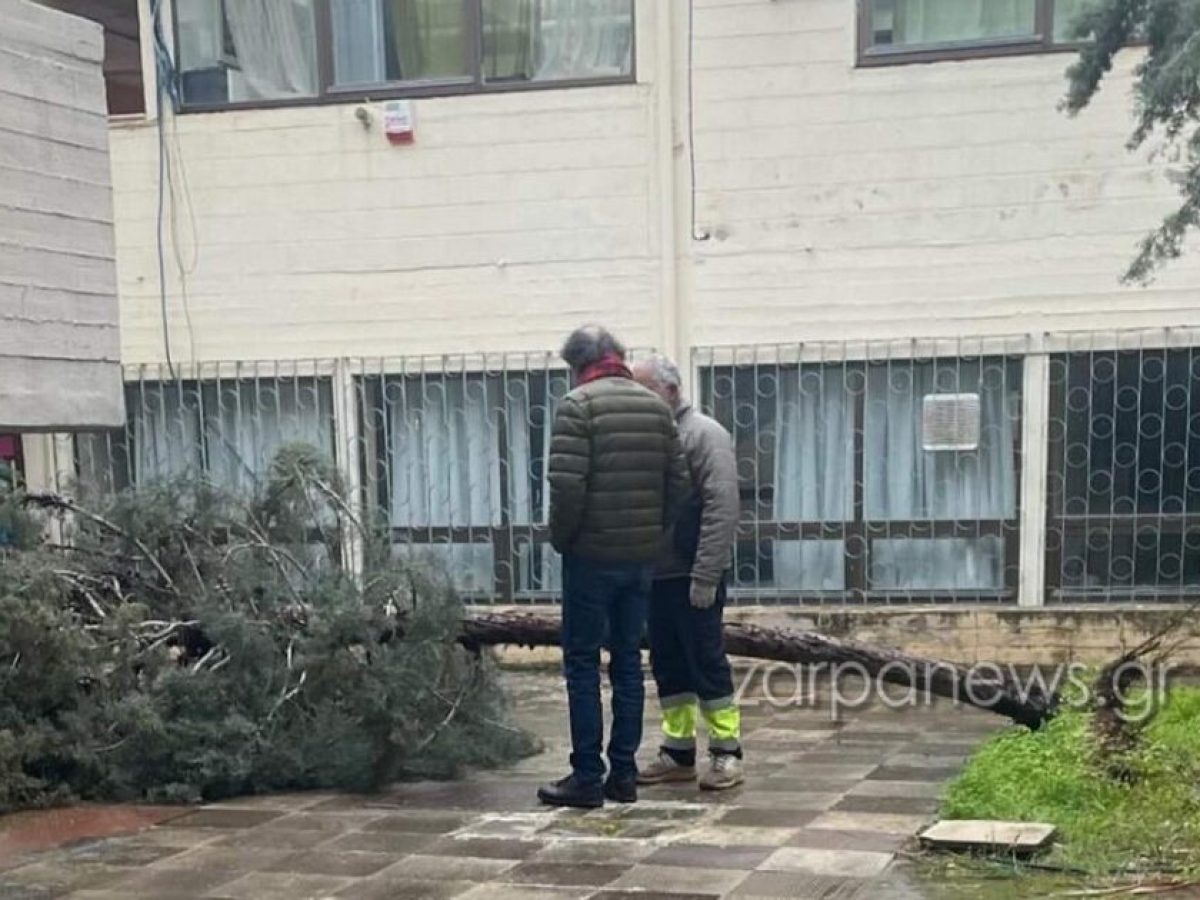 Έπεσε δέντρο λόγω της κακοκαιρίας σε σχολείο των Χανίων | Photo