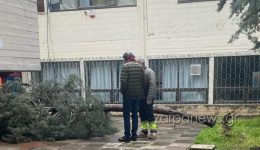 epese-dentro-logo-tis-kakokerias