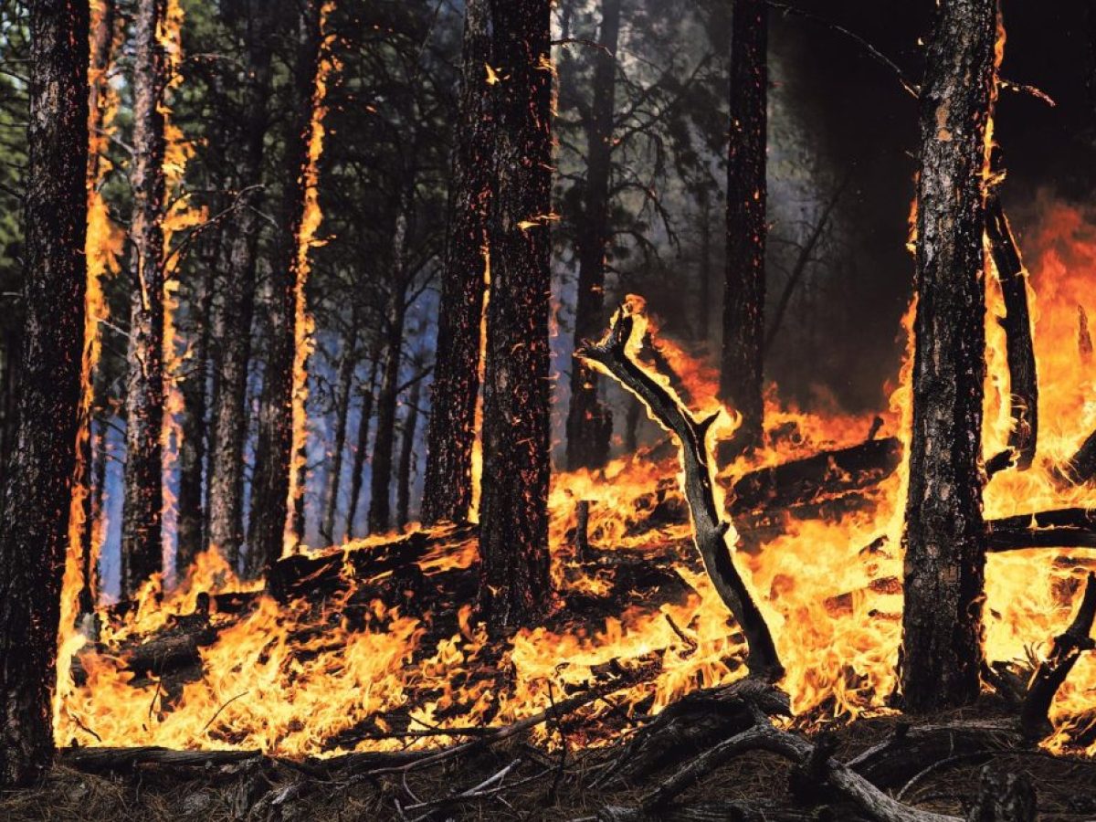 Επιτροπή Ανασυγκρότησης Έβρου: Στην Αλεξανδρούπολη η επόμενη συνεδρίαση