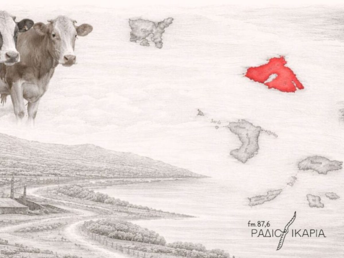 Επιβεβαιώνεται εστία Αφθώδους Πυρετού στη Λέσβο