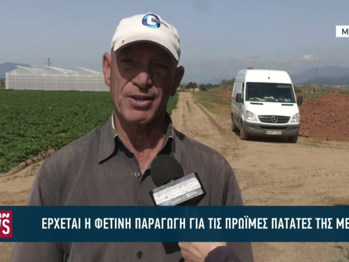 Έρχεται η φετινή παραγωγή από την πρώιμη πατάτα στην Μεσσηνία