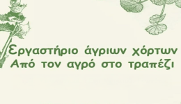 ergastirio-agrion-chorton-&Alpha;po-ton