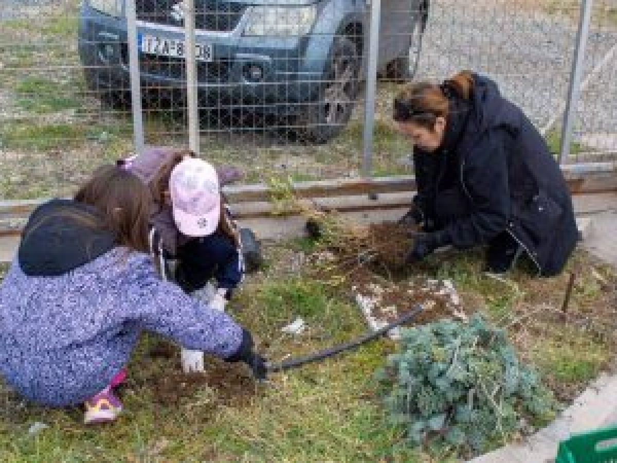 Εθελοντική δράση και δενδροφύτευση από τον Πολιτιστικό Σύλλογο Σαμοθράκης – φωτογραφίες