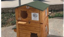 etima-ta-prota-spitakia-gia-1