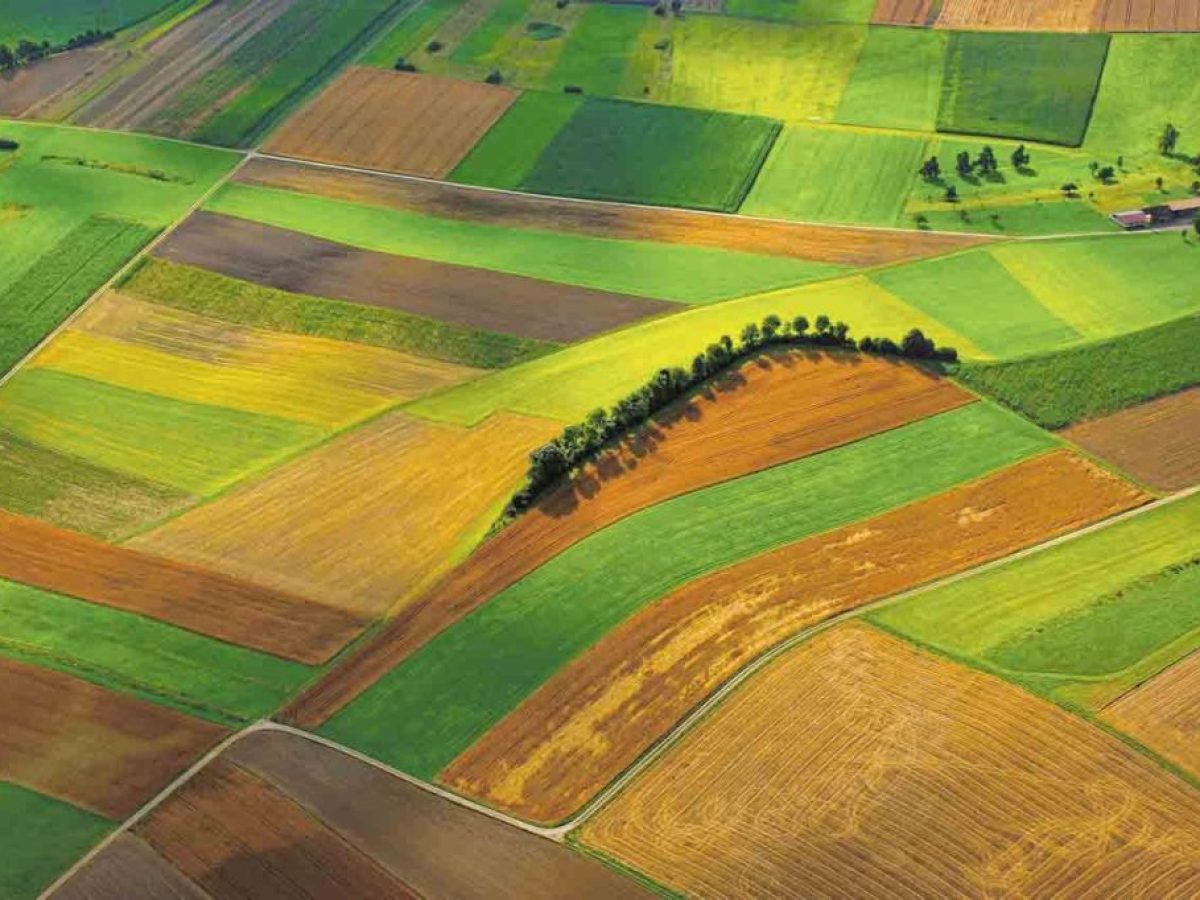 Έβρος: Προκηρύσσεται μελέτη αναδασμού αγροκτημάτων με 895.000 ευρώ