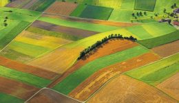 evros-prokirissete-meleti-anadasmou-agroktimaton