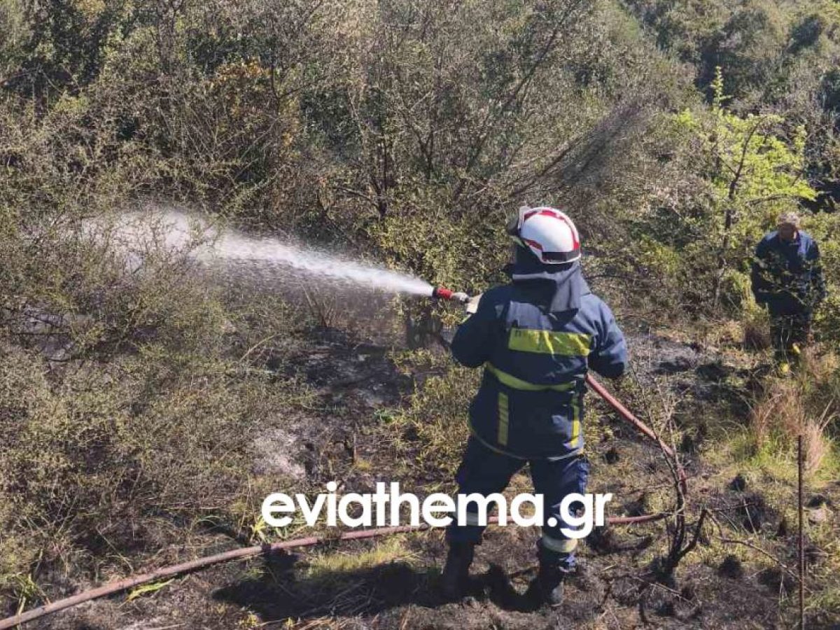 Εύβοια: Πήγε να κάψει κλαδιά και κατέληξε με χειροπέδες – Συναγερμός για πυρκαγιά στον Άγιο Αιδηψού