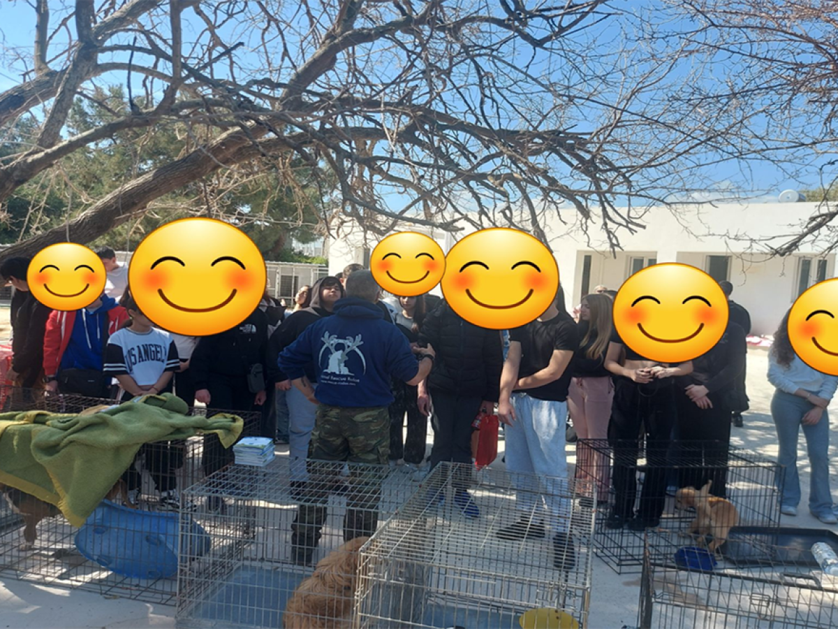Φιλοζωία και Ενεργός Πολιτειότητα: Η δράση του 4ου Γυμνασίου Ρόδου