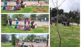 fitefsi-thamnon-stin-platia-eleftherias