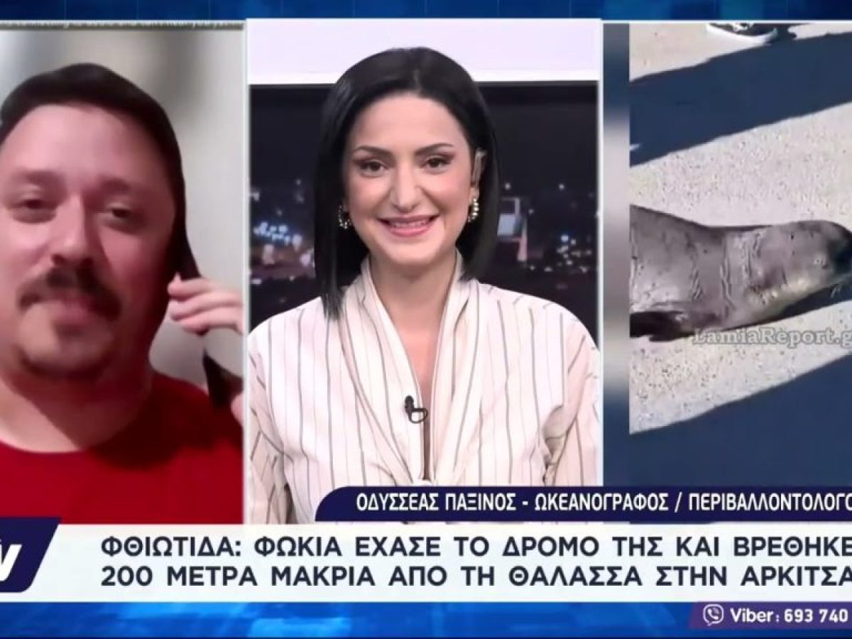 Φώκια έχασε το δρόμο της και βρέθηκε 200 μέτρα μακριά από τη θάλασσα στην Αρκίτσα