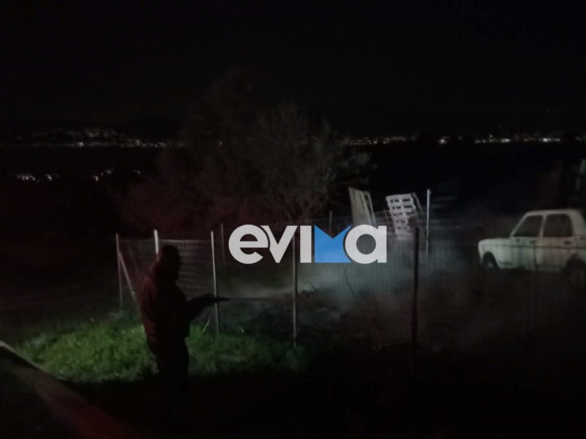 Φωτιά δίπλα σε μαντρί στην Εύβοια
