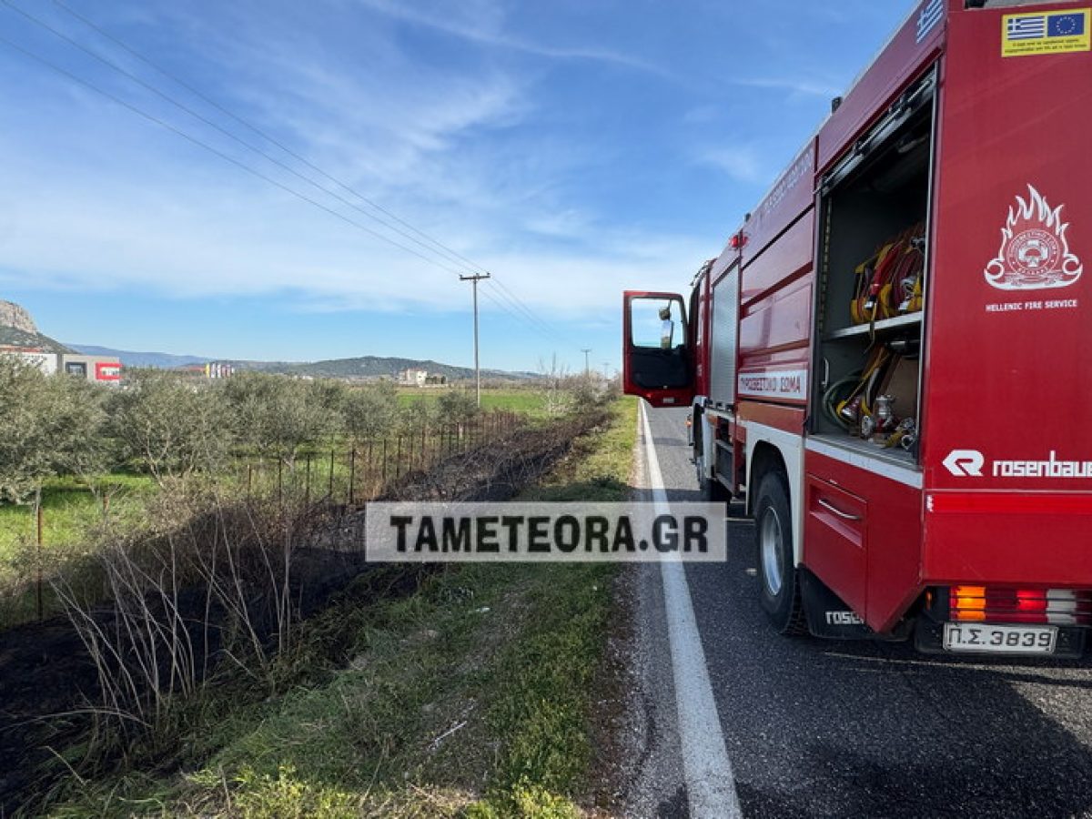 Φωτιά παραπλεύρως της εθνικής οδού Τρικάλων-Καλαμπάκας