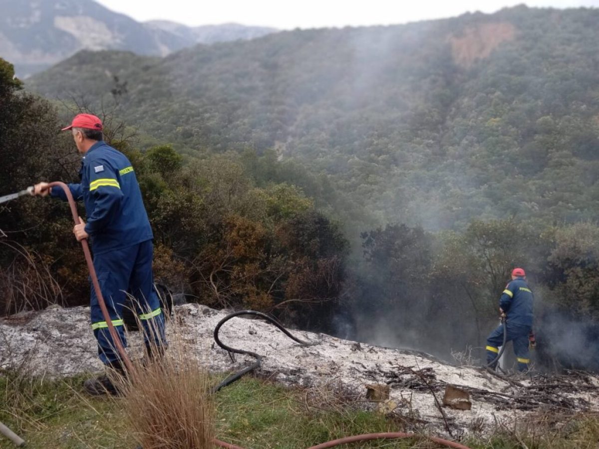 Φωτιά στα Πιτσιναιίκα Ναυπακτίας από κλαδέματα ελαιόδεντρων – Αποφεύχθηκαν τα χειρότερα χάρη στην επέμβαση της Πυροσβεστικής