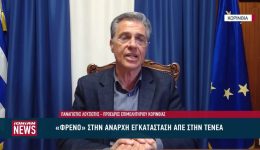 freno-stin-anarchi-egkatastasi-ananeosimon