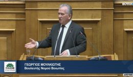 g.-moulkiotis-Άdiki-ke-disanalogi