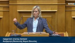 g.-poulou-kivernitiki-koroidia-me