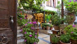 gastronomiki-sinantisi-stin-avli-tin