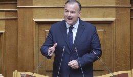 giannis-pappas-megali-anasa-gia-1