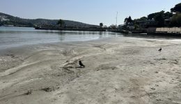 giati-ipochorise-i-thalassa-sti