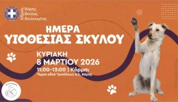 giorti-iiothesias-skilou-sti-vari
