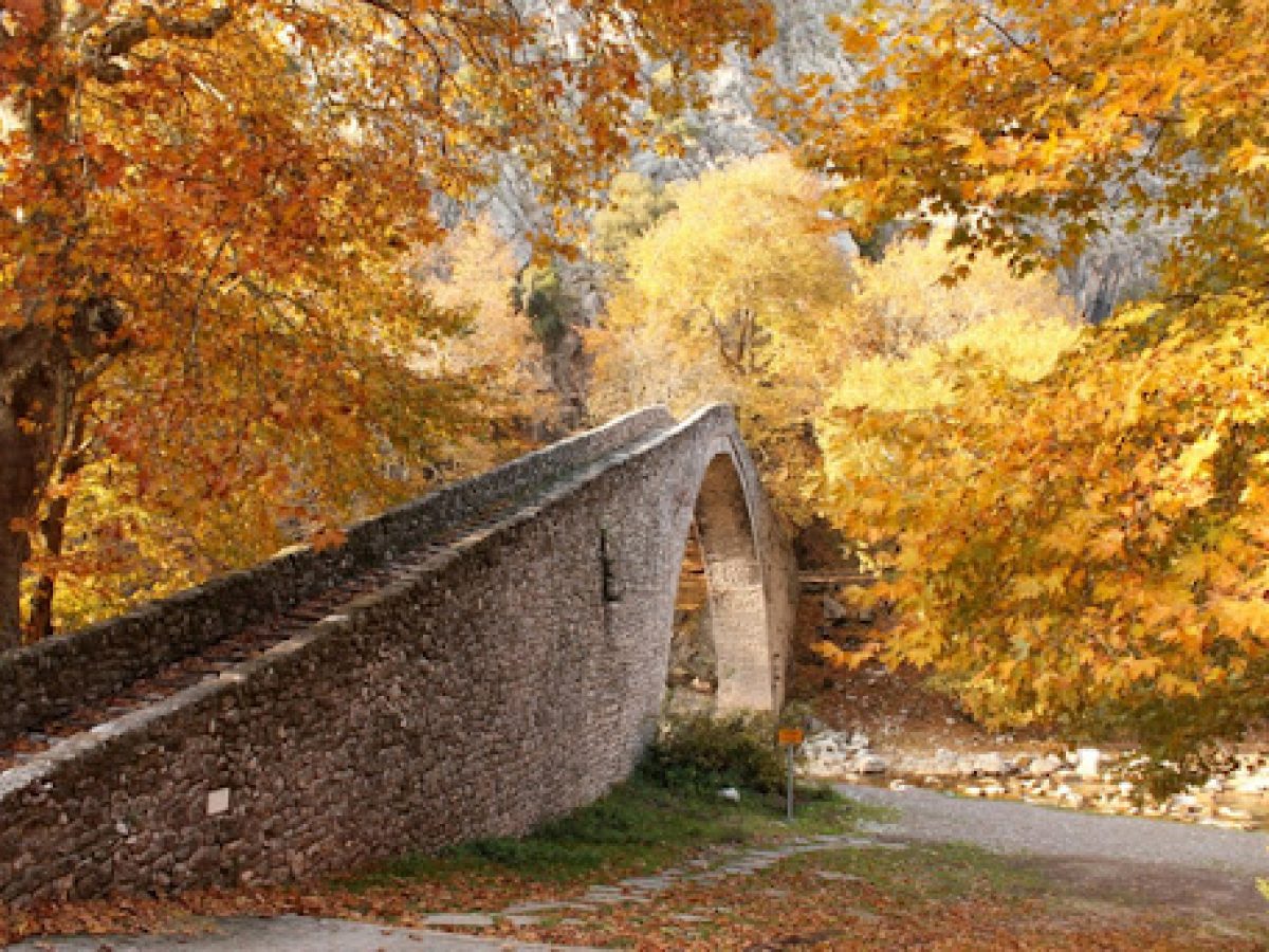 Γιορτή της Γυναίκας και εκδρομή σε Περτούλι – Ελάτη Τρικάλων με την «ΕΛΠΙΔΑ»