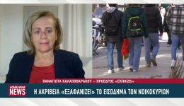 i-akrivia-gonatizi-tin-kinonia