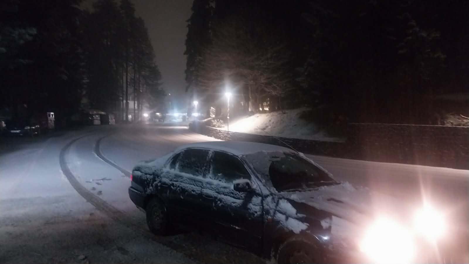 i-chionismeni-elati-&ndash;-ta