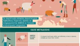 i-diefthinsi-ktiniatrikis-tis-periferias