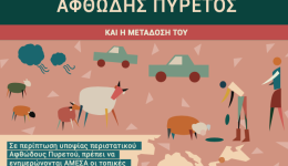 i-diefthinsi-ktiniatrikis-tis-periferias