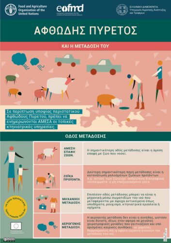 i-diefthinsi-ktiniatrikis-tis-periferias
