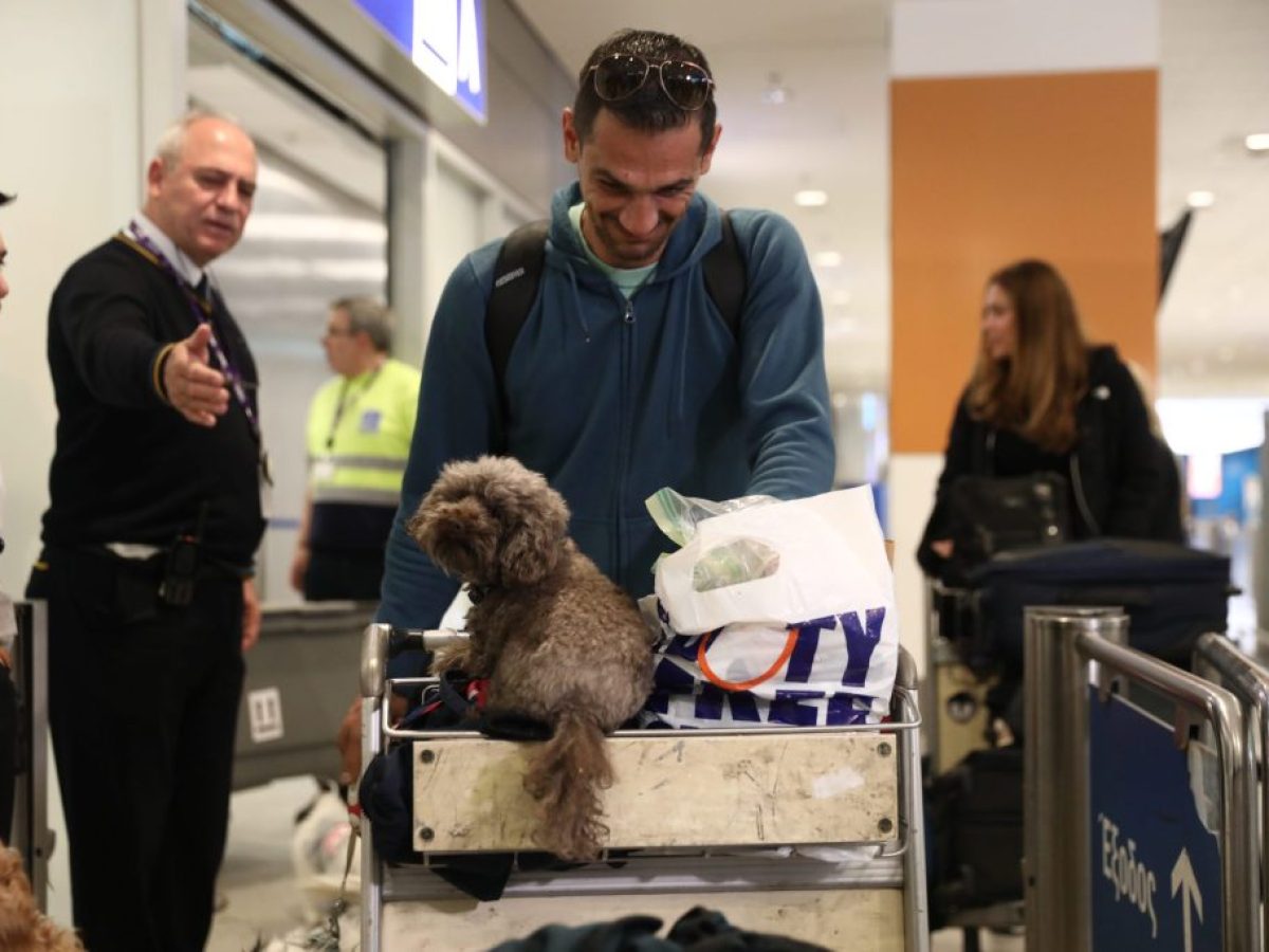 «Η επιχείρηση επαναπατρισμού με τα κατοικίδιά μας ήταν κάτι το μοναδικό»: Τι είπε στο ΕΡΤnews Radio 105,8, Έλληνας που επέστρεψε από Ντουμπάι