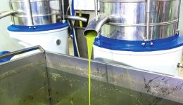 i-fetini-eleoparagogi-sto-nomo