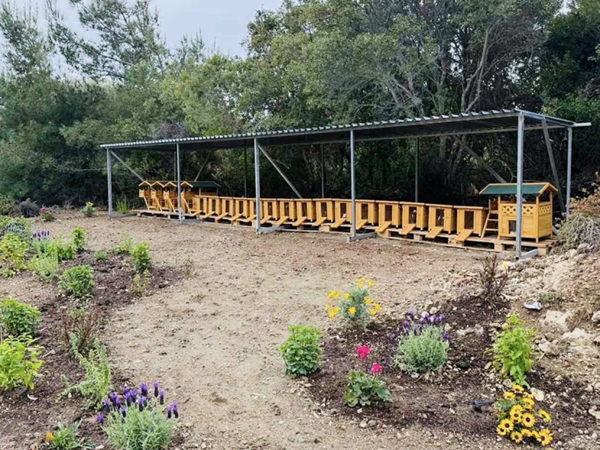 Οι γάτες του Νοσοκομείου Ρόδου απέκτησαν το δικό τους καταφύγιο!