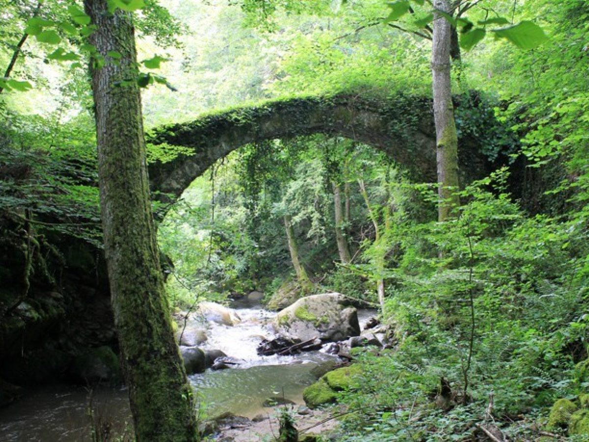 Η γιορτή της άνοιξης και των Δασών και ο πράσινος θησαυρός της Δράμας   21 Μαρτίου –Διεθνής Ημέρα Δασών