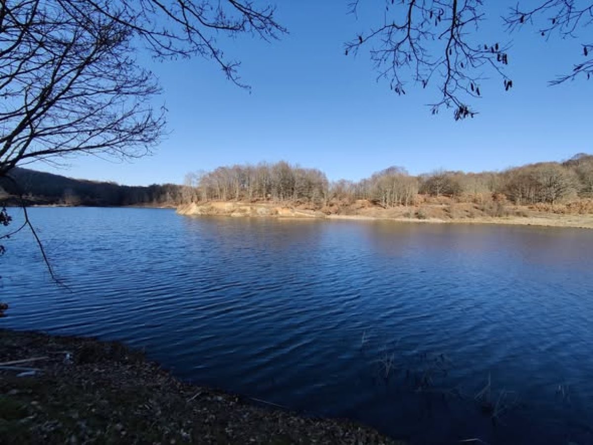 Η λίμνη Λογγά απέχει μόλις 50′ από τα Τρίκαλα και είναι ένας νεραϊδότοπος !!!