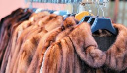 i-periferia-ditikis-makedonias-stirizi