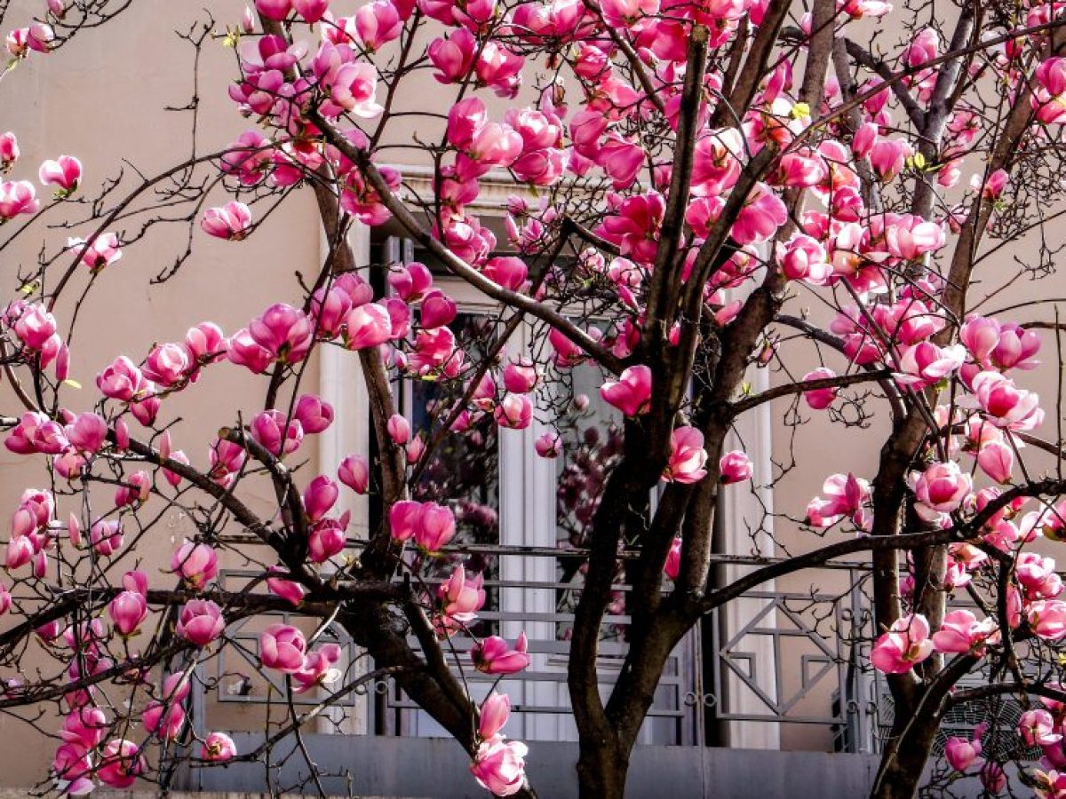 Η πρώτη εκτίμηση για τον καιρό του Πάσχα 2026