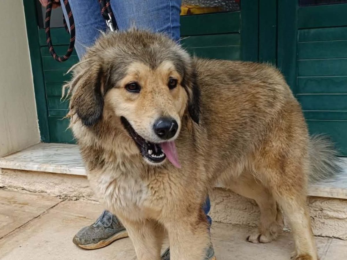 Η Ρέγκε μας βρήκε την οικογένεια που της αξίζει…