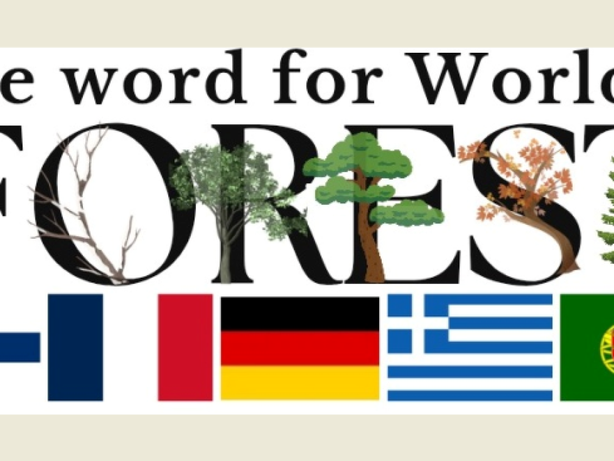 Οικοσυστήματα της Θράκης θα μελετήσουν μαθητές από την Ευρώπη και το Μουσικό Σχολείο Κομοτηνής