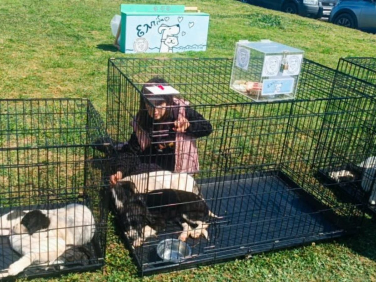 Ημέρα Υιοθεσίας Αδέσποτων στη Νέα Μάκρη την Τετάρτη 25 Μαρτίου