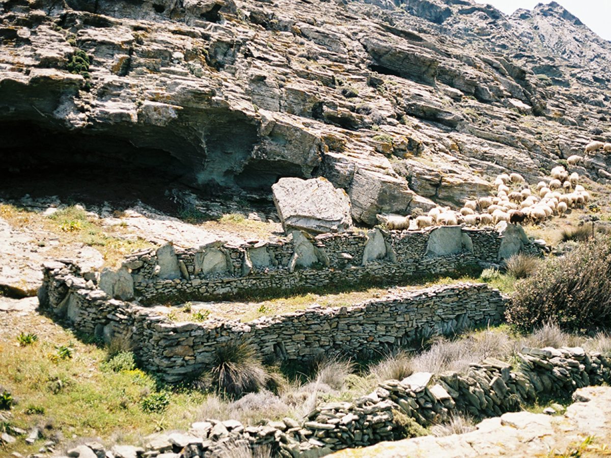 Ημέρες Ξερολιθιάς 2026 σε 14 νησιά του Αιγαίου – Δηλώσεις Δημάρχου Άνδρου