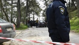 ioannina-Άgrios-xilodarmos-16chronou-apo