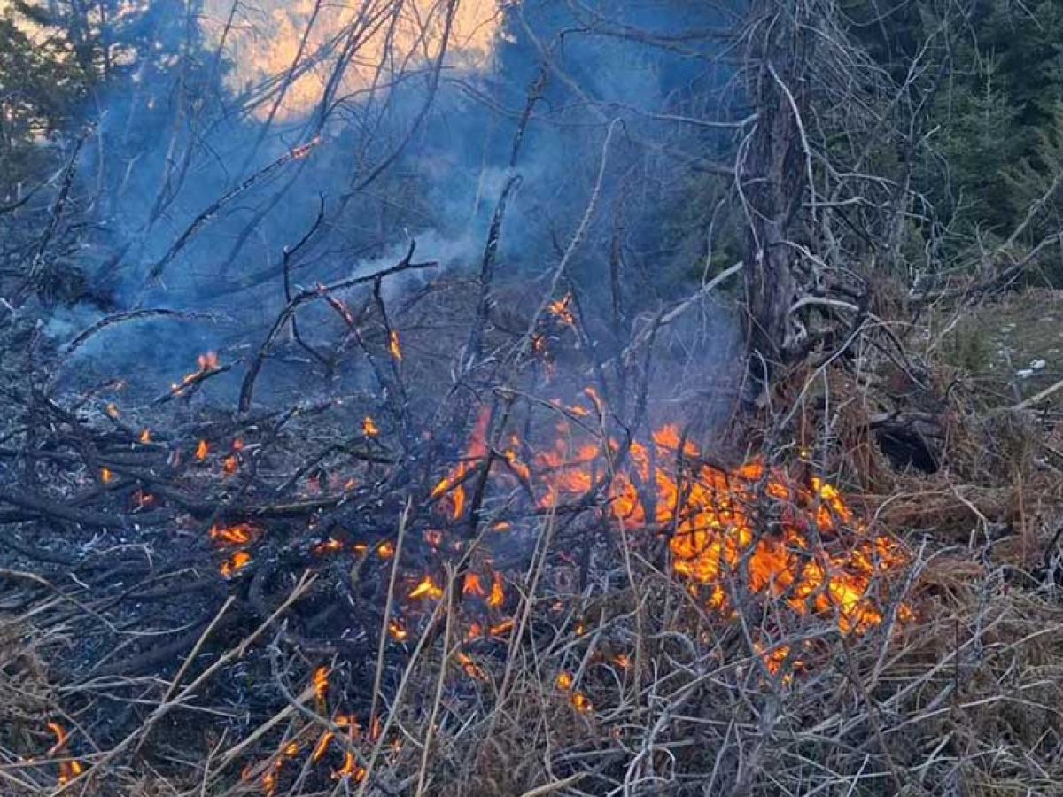 Υπό έλεγχο η φωτιά κοντά στη Χρυσομηλιά – Τάχιστη κινητοποίηση και συντονισμένη δράση