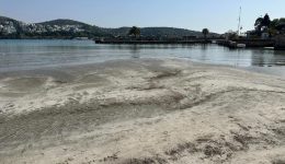 ipochorise-i-thalassa-se-kavouri