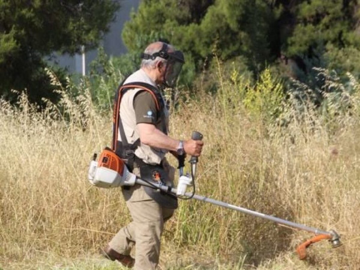 Υποχρεωτικός καθαρισμός οικοπέδων έως τις 15 Ιουνίου – Έκκληση του Δήμου Καλαμαριάς για πρόληψη πυρκαγιών